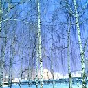 ���� �������, ������, 66 ��� - ��������� 15 ������� 2022 � ������ ���� ����������