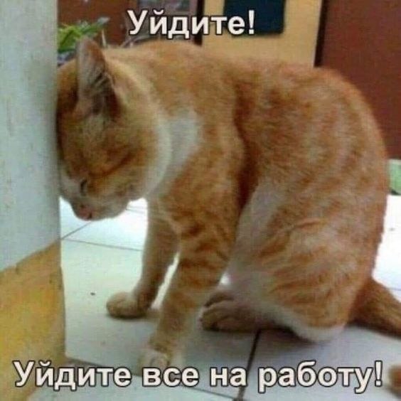   - 18  2022  06:51
