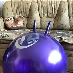 ������, ������, 24 ����