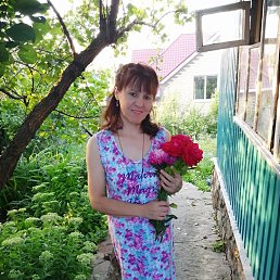 ���� ���������, �����, 61 ��� - ��������� 23 ������� 2022