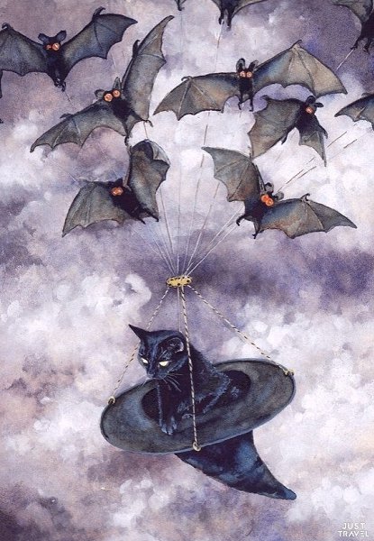 o Maggi Vandwall.#art #travel #world