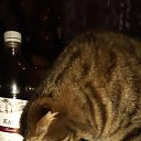 ���� ������, �����-���������, 55 ��� - ��������� 24 ���� 2022 � ������ ������ ��������