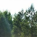 ���� �����, ��������, 57 ��� - ��������� 29 ���� 2022