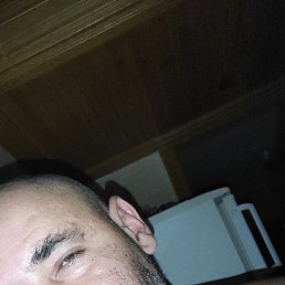 Kot, , 51 