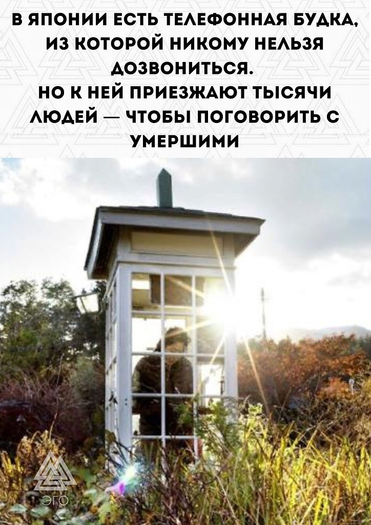  .     ,   ,     - ...