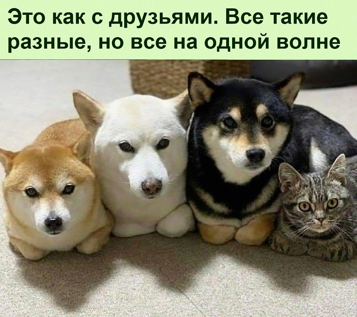   :D - 3  2022  13:35