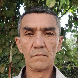 , , 55 