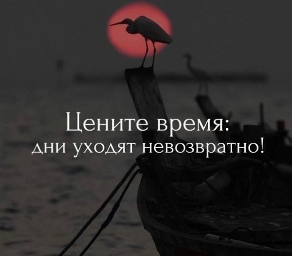   - 2  2022  16:50