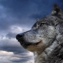 ���� ����, ������, 62 ���� - ��������� 13 ������� 2023 � ������ ���� ����������