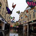 ���� Galinka, ������� - ��������� 17 �������� 2022 � ������ ���� ����������