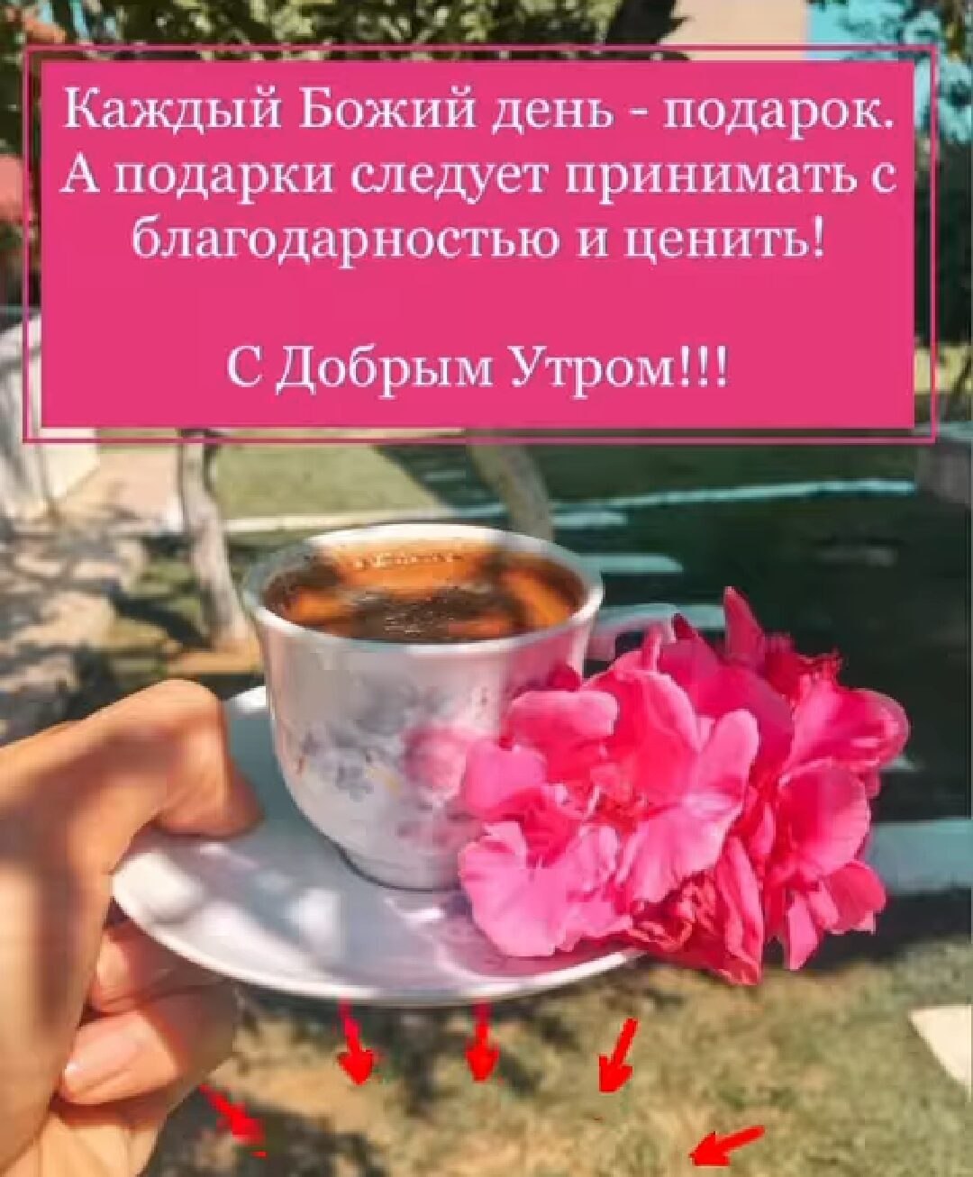 ***Victoria Viktorovna*** - 23  2022  03:36