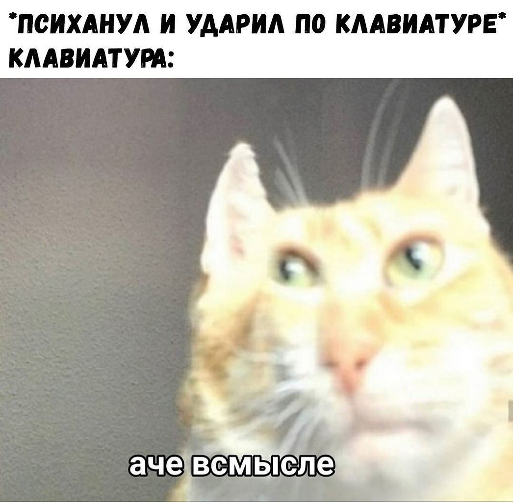    - 26  2023  18:11