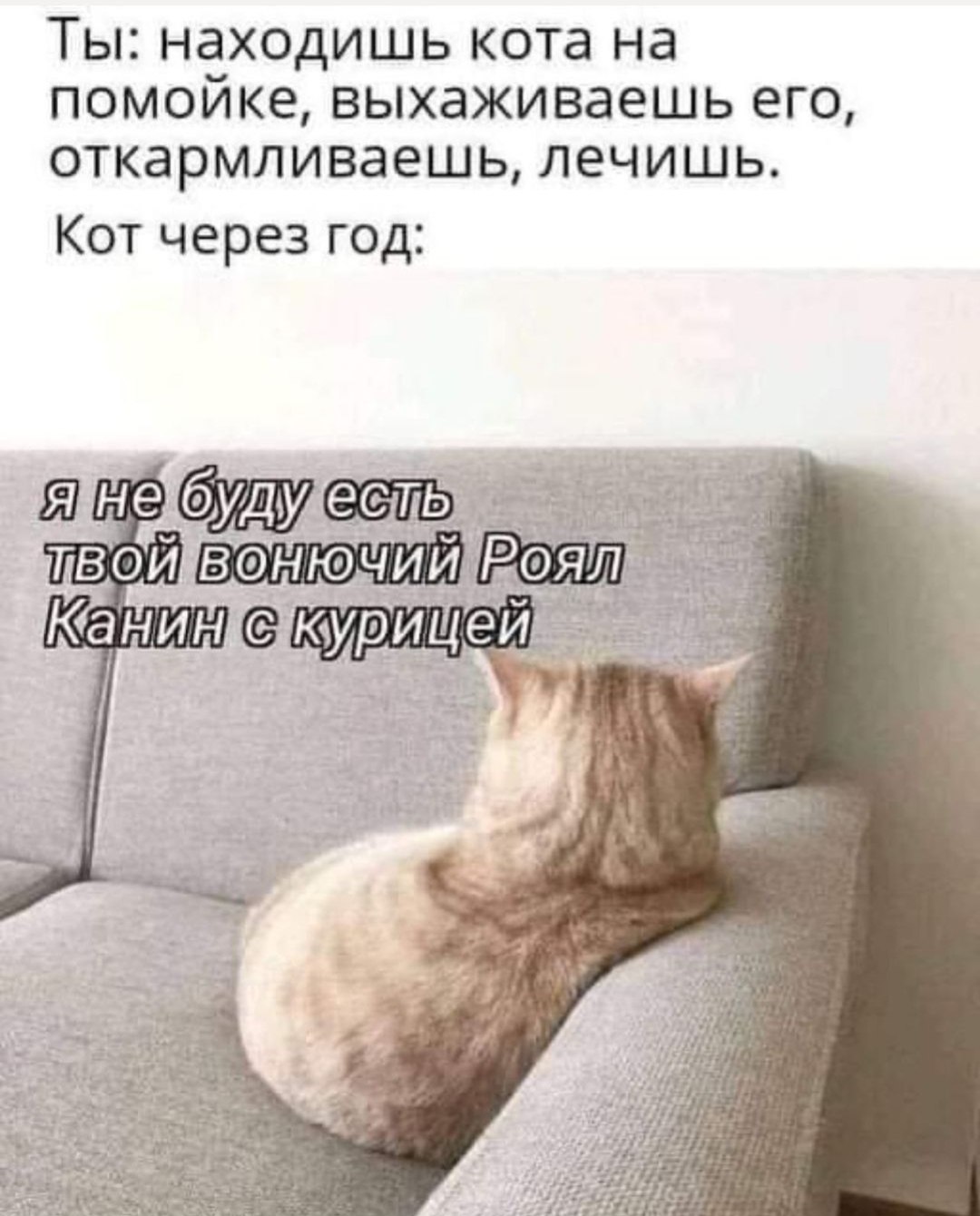  - 16  2022  20:01
