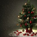 ���� �����, ����, 40 ��� - ��������� 1 ������� 2022 � ������ ����� 2022 (17:12 1/12/2022)�