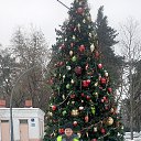 ���� �����, ������, 59 ��� - ��������� 8 ������� 2023