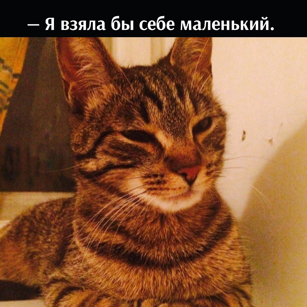       - 23  2022  10:17 - 3
