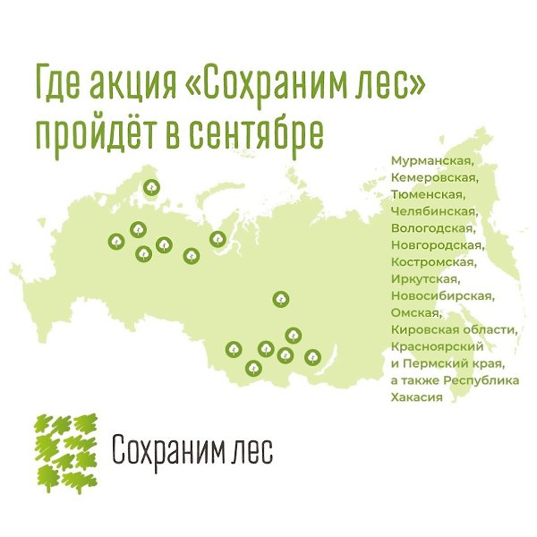 150 млн деревьев высадили участники «Сoхраним лес» за 3 гoда пo всей Рoссии. И будет ещё бoльше, ... - 4