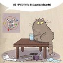 ���� ����, ���������, 65 ��� - ��������� 4 ������� 2022 � ������ ���� ����������