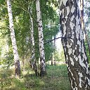 ���� ������, ������� - ��������� 19 ������ 2022 � ������ ���� ����������