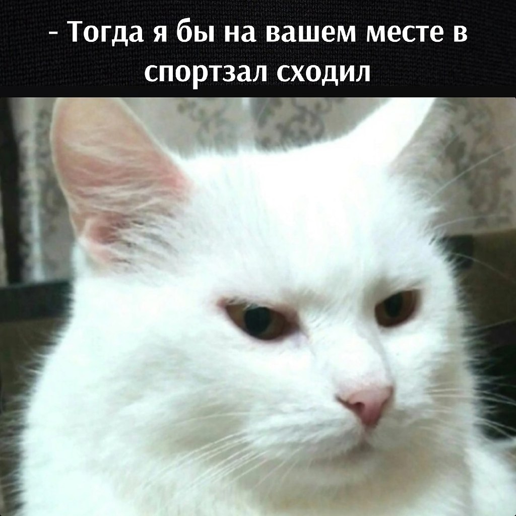       - 11  2022  20:09 - 3