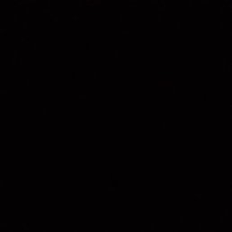 ����, ������, 41 ���