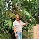 ���� ������, �����-��������� - ��������� 29 ������ 2022 � ������ ������ ��������