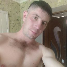 �����, �������, 36 ���