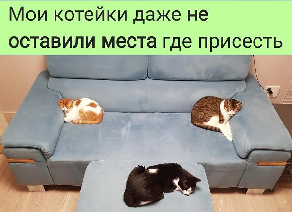 ������ ��� ��� �� �����. ����� ������ �����