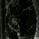 ���� Gleb, ��������� - ��������� 16 ������� 2022 � ������ ������ ��������