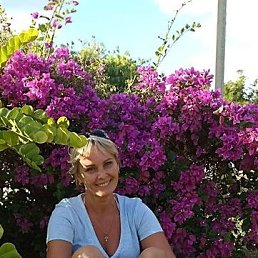 ���� �����, ���������, 50 ��� - ��������� 9 ������� 2022