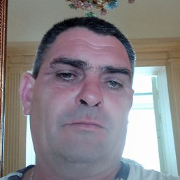, , 51 