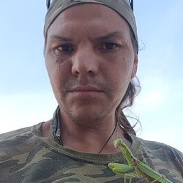 �����, ������, 42 ����