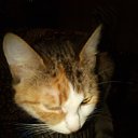 ���� �������, ������ ��������, 55 ��� - ��������� 18 ������ 2023