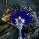 ���� ��������, ��������, 58 ��� - ��������� 23 ������� 2022 � ������ ���� ����������