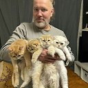 ���� ������, �����-���������, 51 ��� - ��������� 10 ������ 2023 � ������ ���� ����������