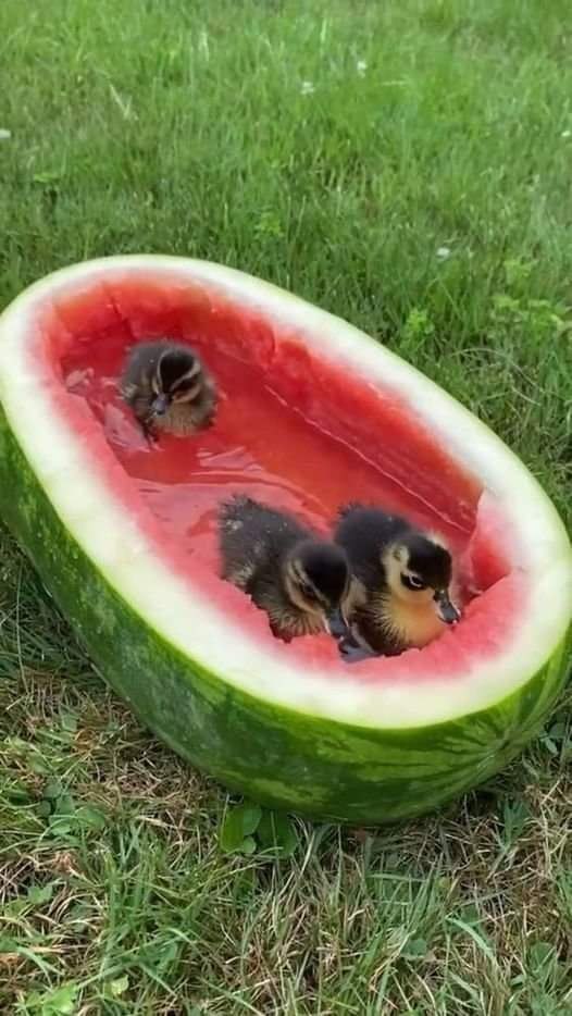 :) )))