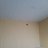  To'lqin, , 31  -  13  2023