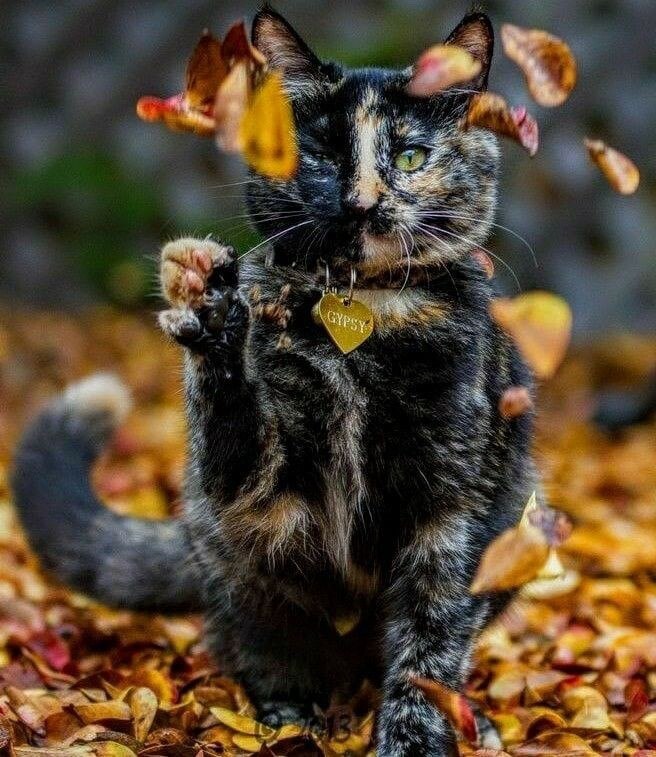   ......    ! !!!)