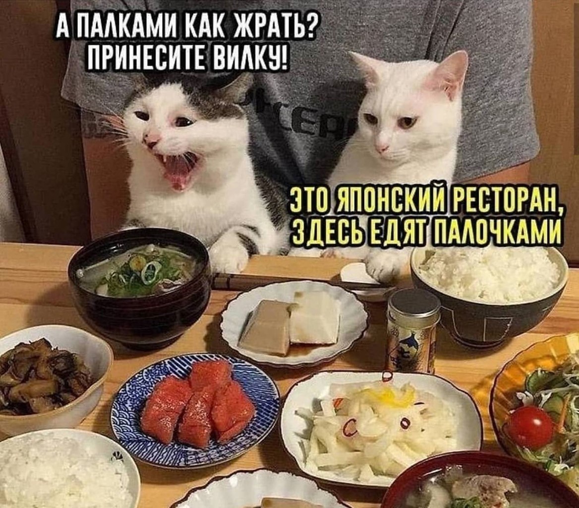    - 19  2023  18:19