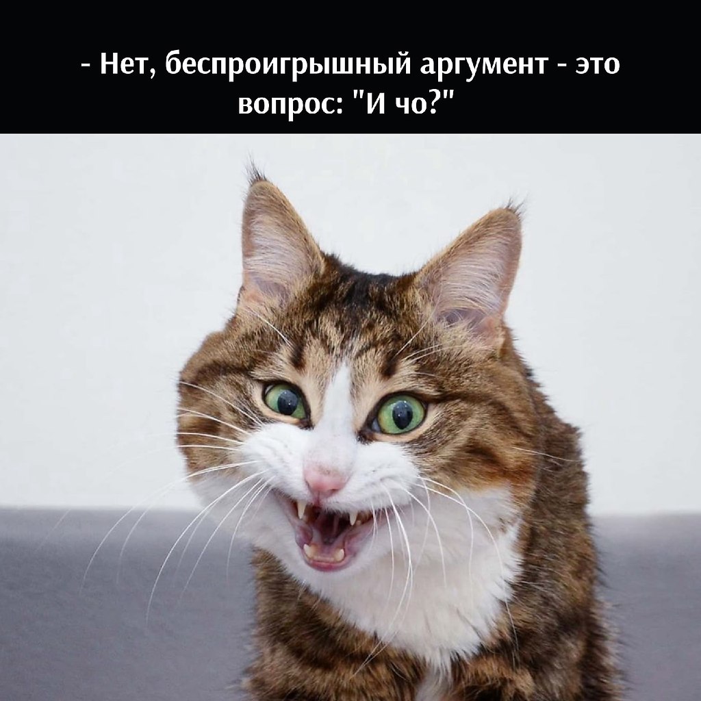       - 25  2022  19:33 - 2