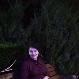 ���� ��������, ���������, 62 ���� - ��������� 7 ��� 2022