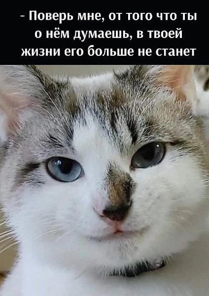       - 14  2022  15:31 - 3