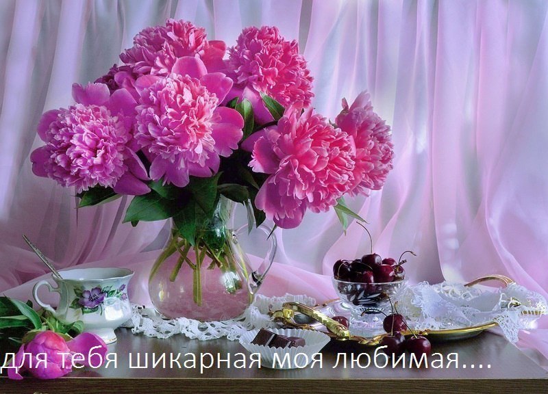     - 15  2022  08:28