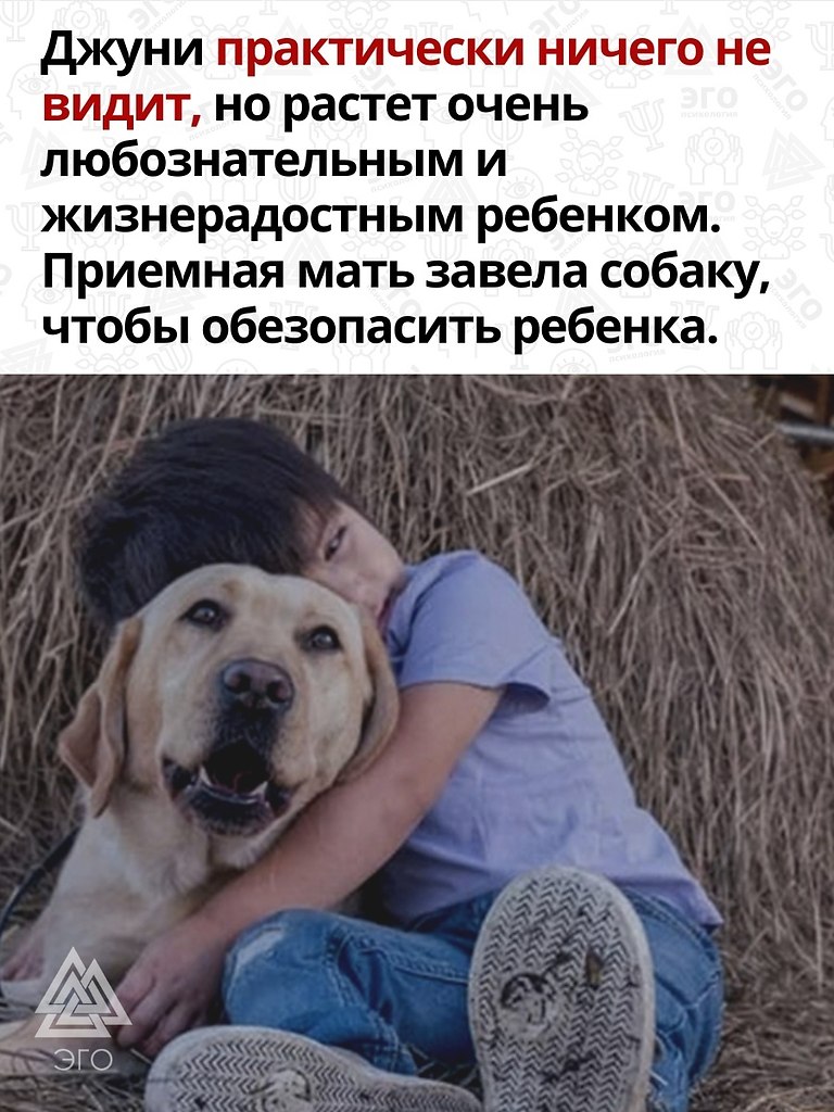      ,         ... - 2