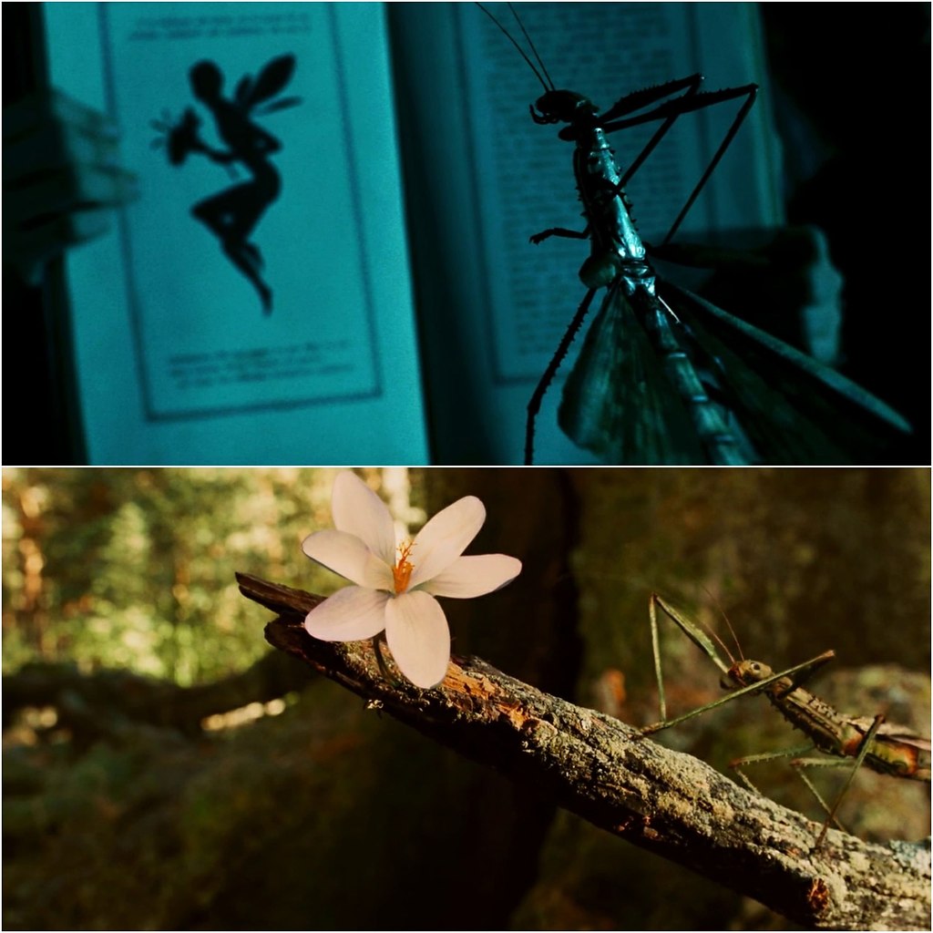   / El laberinto del fauno (2006).:    :  ... - 4