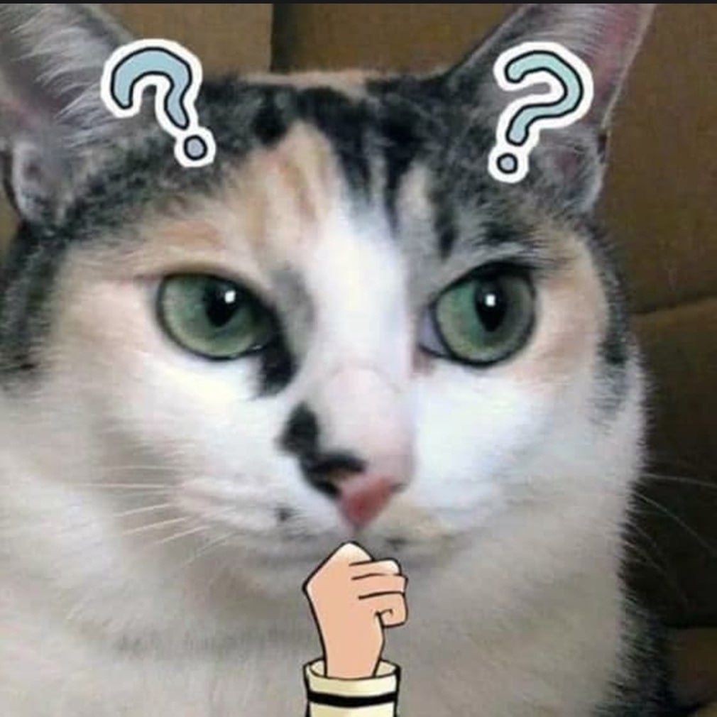     ? - 6