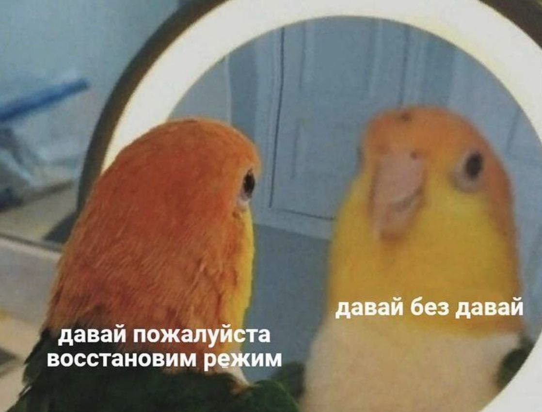    - 25  2022  06:12