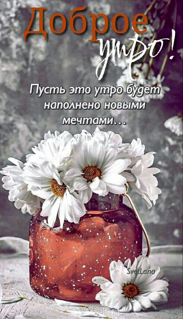   ,    . - 25  2022  22:54 - 8