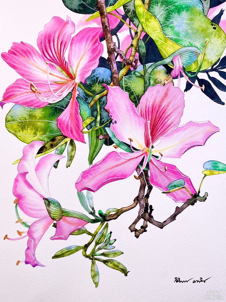 e c, pac  e... o - aapec Kitipong Maksin (Bangkok-hailand ). #art ... - 2