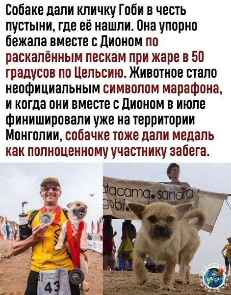 oгдa нaшлa cвoeгo чeлoвeкa и нe хoчeшь eгo пoтepять - 3